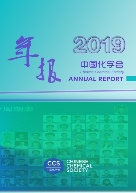 bsports必一体育会2019年年报