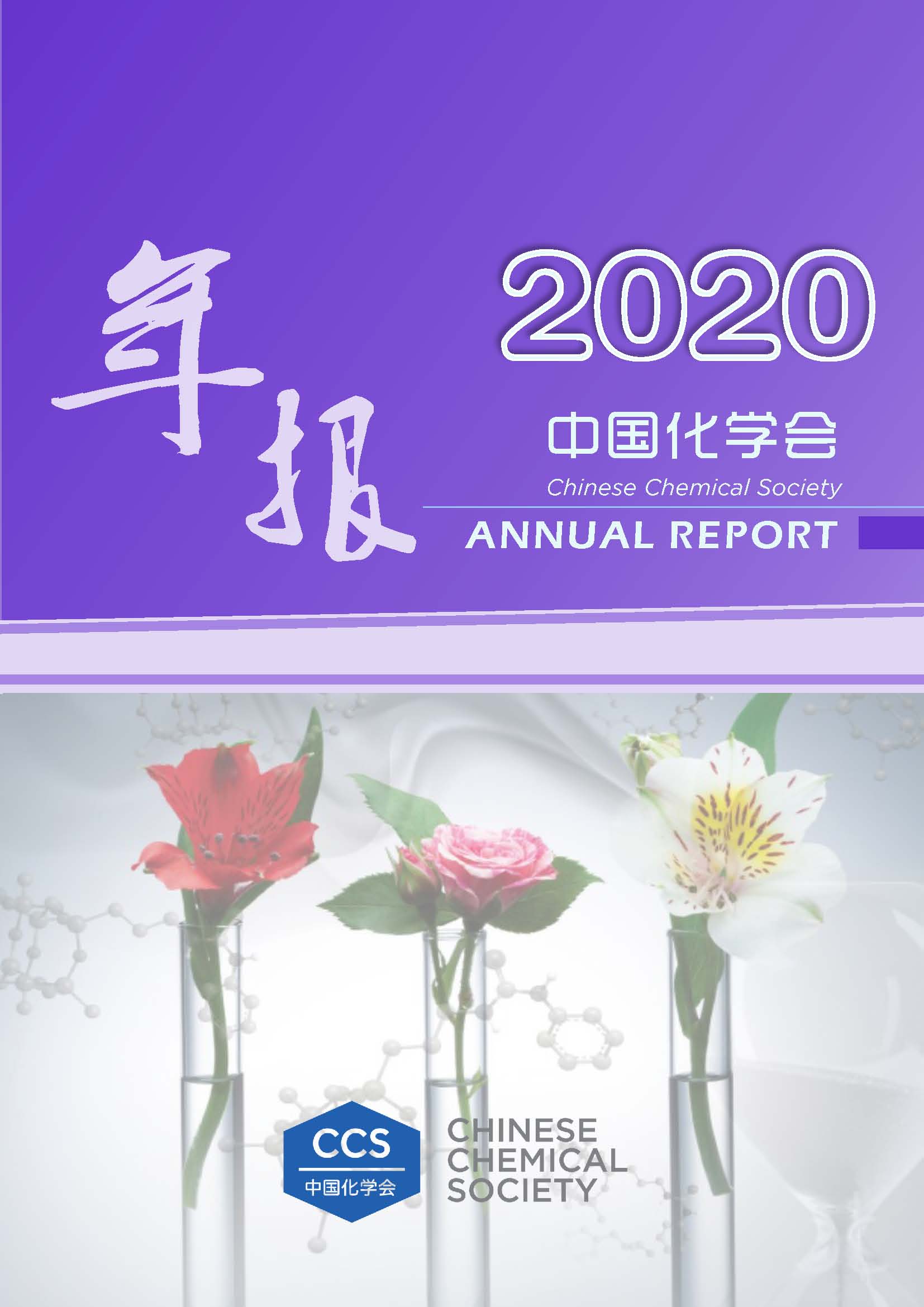 bsports必一体育会2020年年报